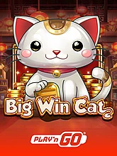 Big Win Cat