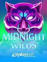 Midnight Wilds
