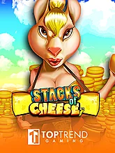 Stacks of Cheese